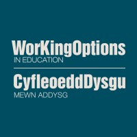 Working Options in Education